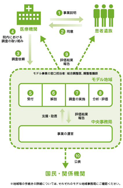 モデル事業の流れ